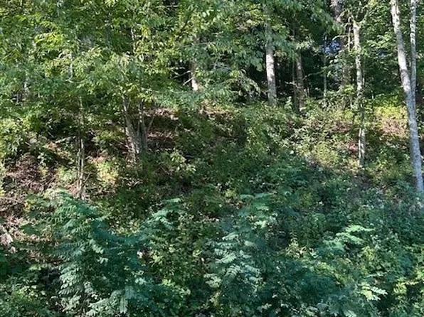 563 Rock Creek Rd Road, Creston, NC 28615