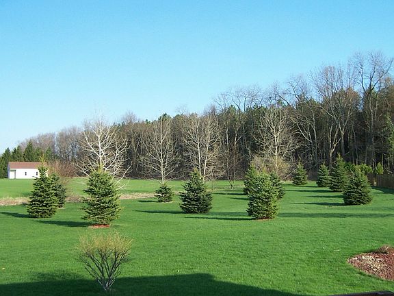 view of backyard, open field behind