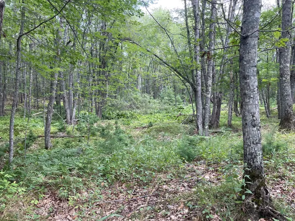 M3 L27-6 Arrowsic Road, Arrowsic, ME 04530