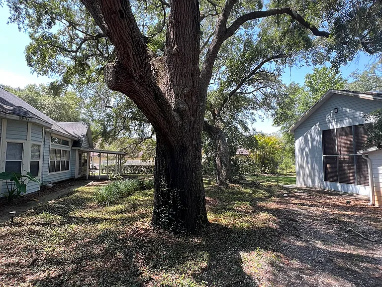 The property has lots of shade trees.