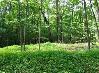 569 Austraw Rd, Ligonier, PA 15658