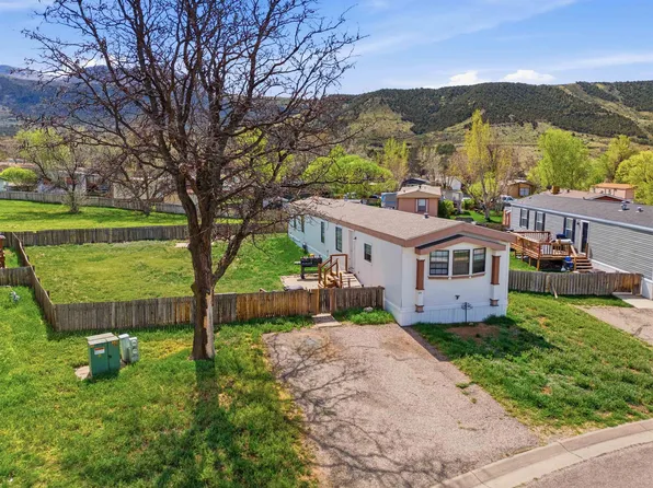 20 Iron Wedge Cir, Parachute, CO 81635