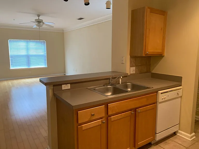 4207 S Dale Mabry Hwy #7308 — Photo 18