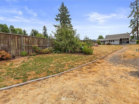 Fruit Trees in Front Yard