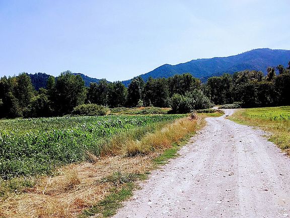 Road to river front