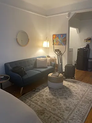 Rented by Manhattan Flats | media 9