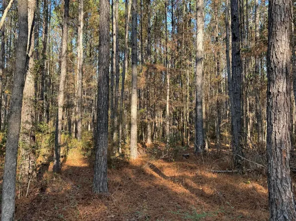 Corbit Blvd, Mc Lain, MS 39456