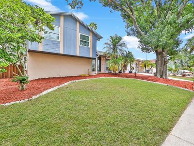 3714 Orangecrest St, Valrico, FL, 33596