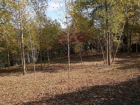 Space for large custom home