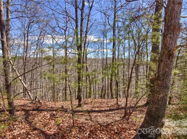 0 N Boundary Rd #51/52, Mill Spring, NC 28756