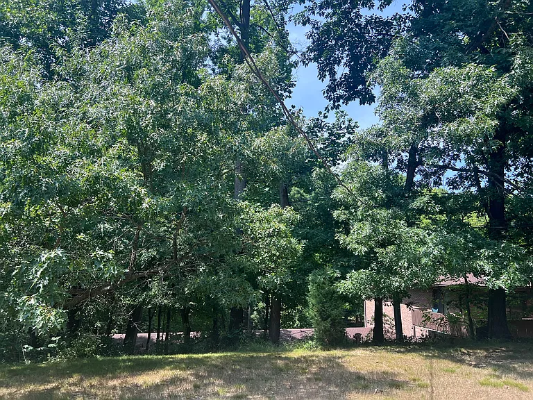 Unit backs up to wooded space