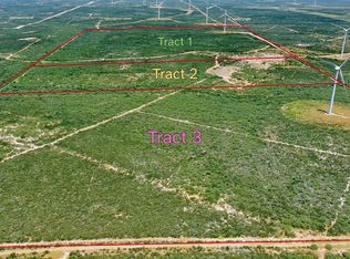 0 San Pablo Rd Tract 2 (47.458), Bruni, TX 78344