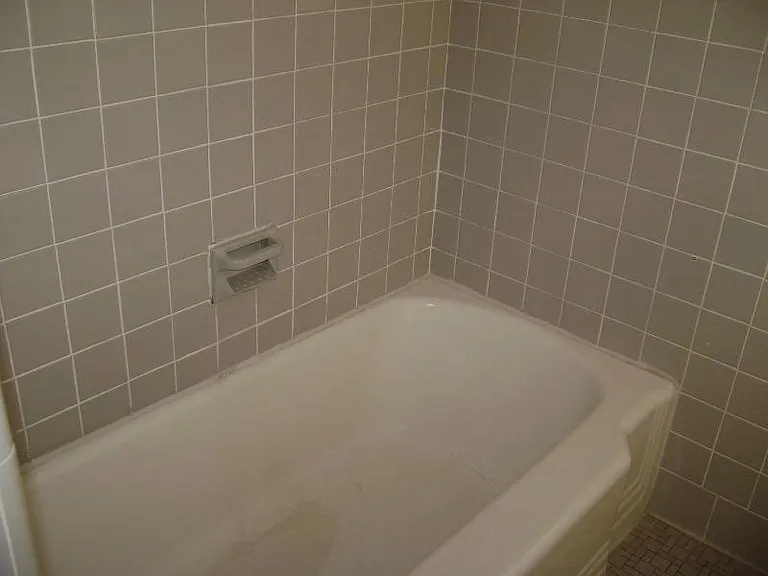 Waverley St — Photo 18