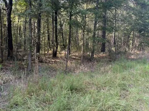 0 Wood Frst, Livingston, TX 77351