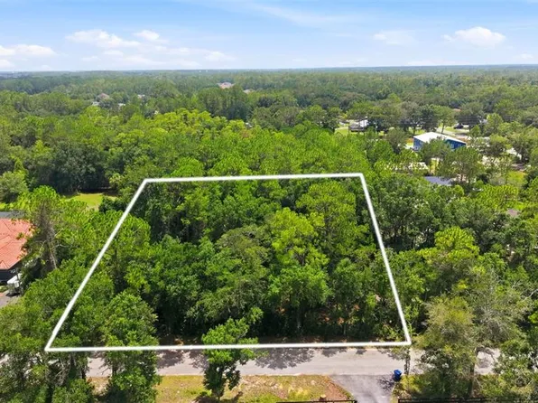 RAVEN BROOK ROAD LOT 363, WESLEY CHAPEL, FL 33544