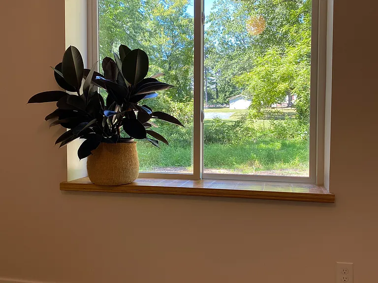 Master bedroom window.