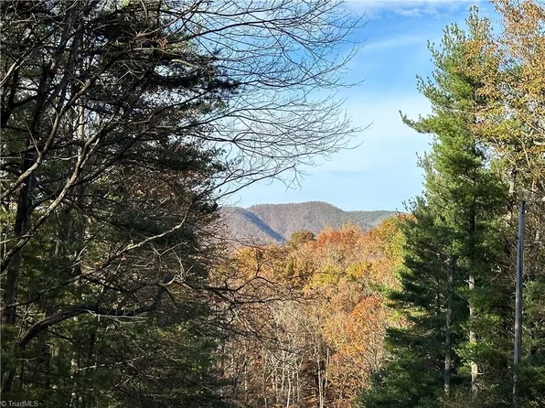 Courtland Ln Lot 36, Lowgap, NC 27024