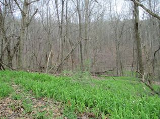 Big Ridge Park Rd, Maynardville, TN 37807