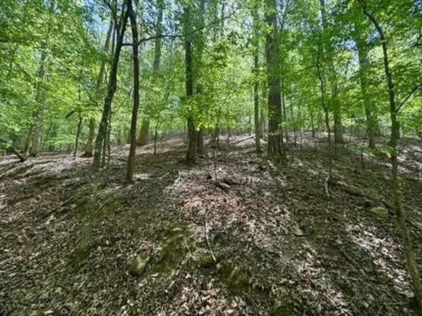 LOT 1972 Nancy Ct, Ellijay, GA 30540