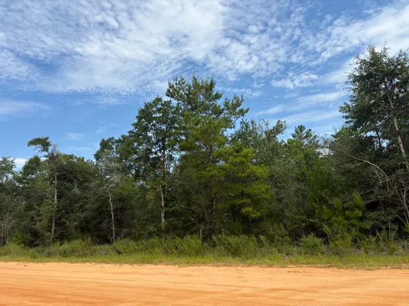 Lots W Royal Palm Ave, Defuniak Springs, FL 32433