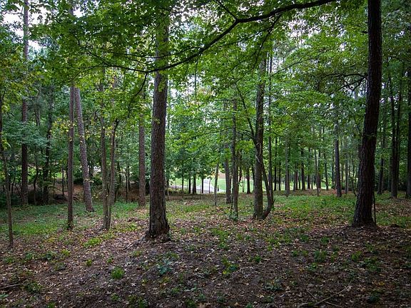 4th image of 1011 Hardwood Holw