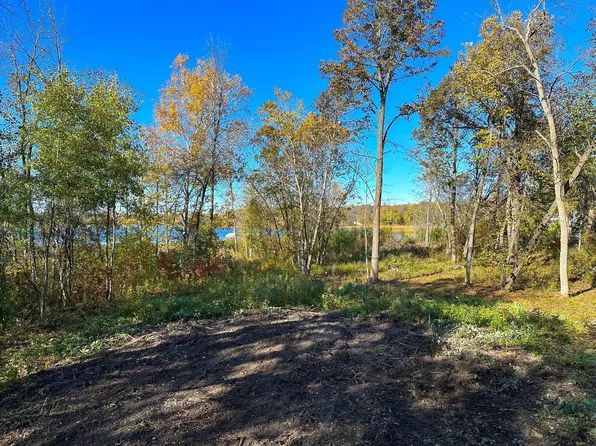 Peony Ln, Pequot Lakes, MN 56472