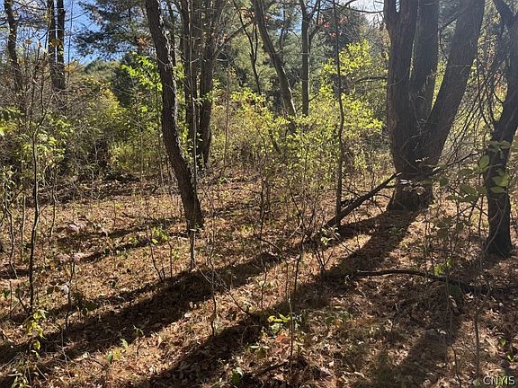 3rd image of 4755 Fay Hollow Rd Lot 5