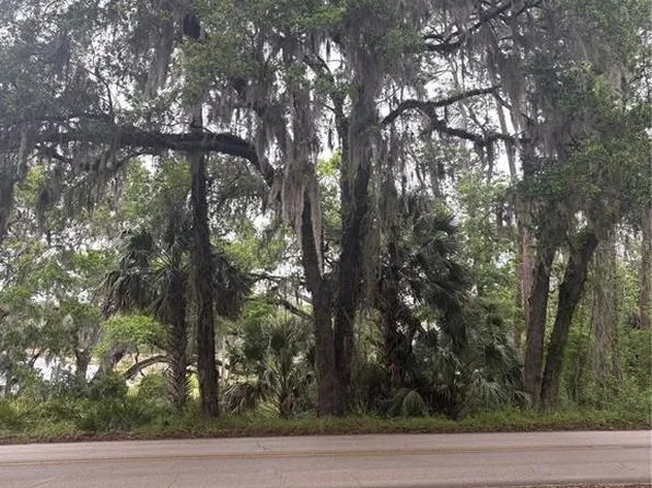 1425 E Graves Ave, Orange City, FL 32763