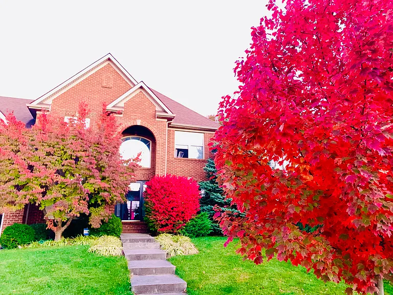 2701 Red Leaf Dr — Photo 1