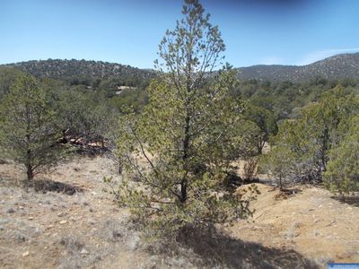 Xx Oxbow, Silver City, NM, 88061