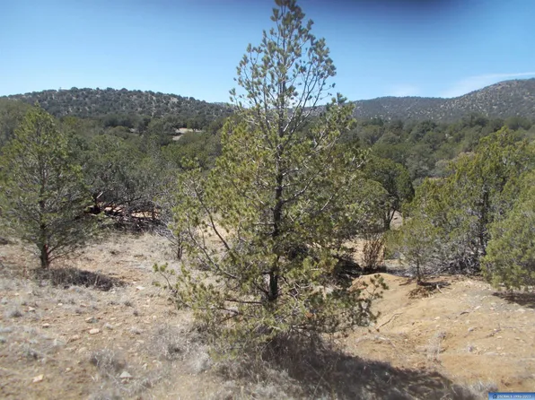 Xx Oxbow, Silver City, NM 88061