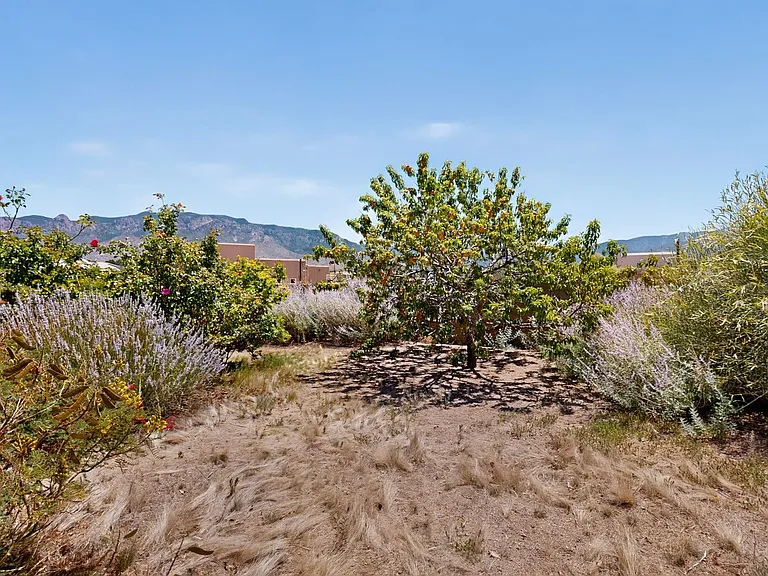 10900 San Francisco Rd NE — Photo 41