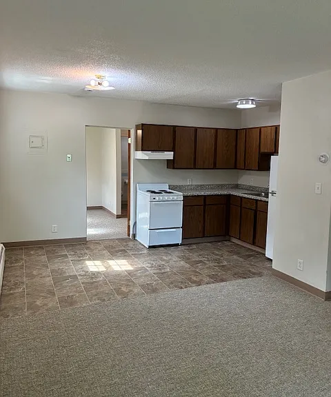 Kitchen and living room open with many opportunities for arranging furniture and computer work