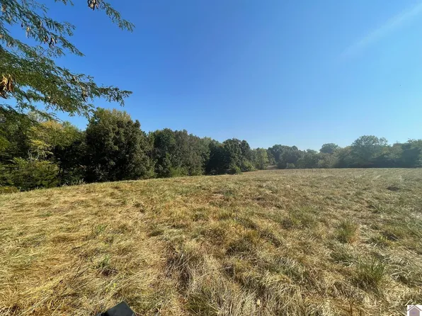 1386 State Route 339 N, Fancy Farm, KY 42039