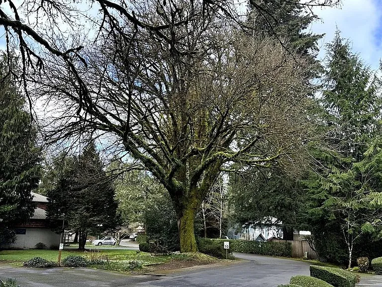 2821 60th Ln SE #D — Photo 4