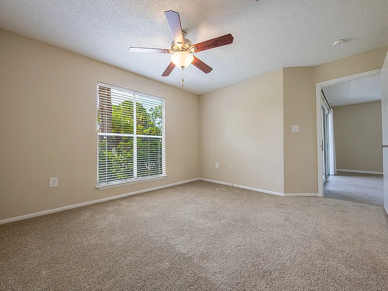 Palm Cove Apartments — Photo 53