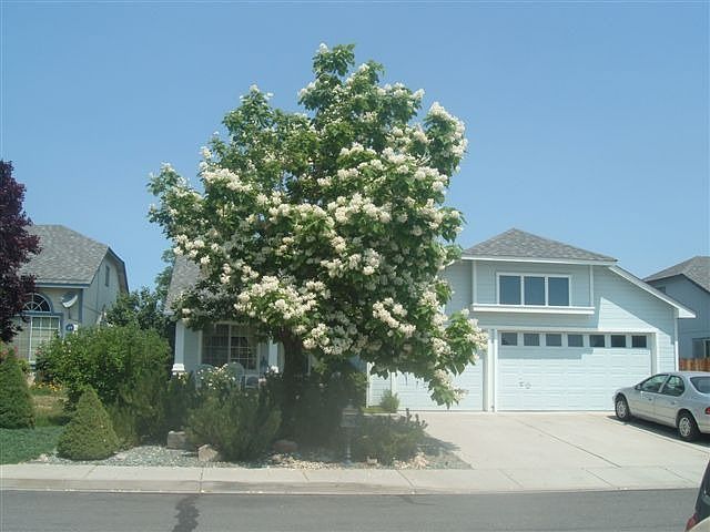 Front View Lewis Home (Harborside)