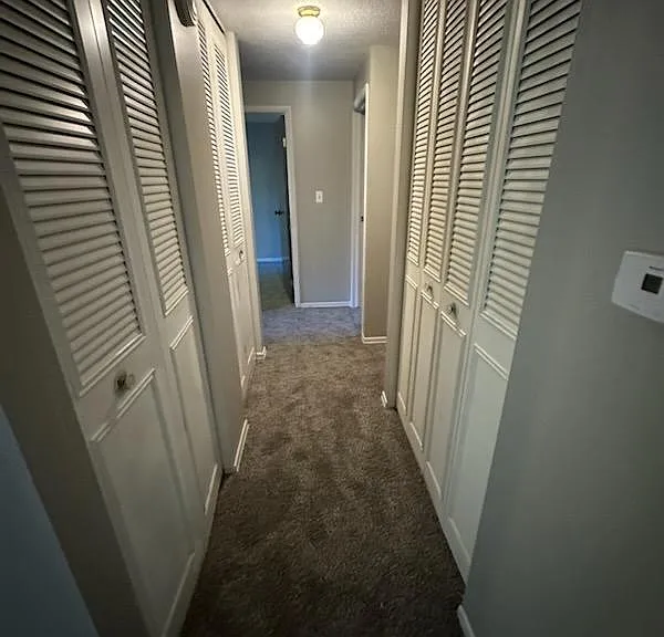 11312 McDowell Dr — Photo 4