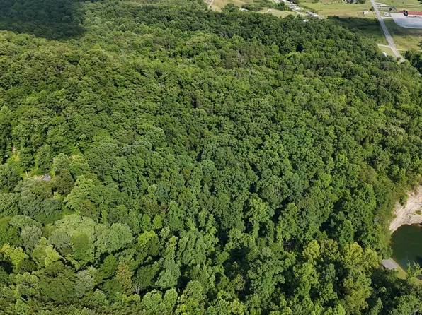 LOT 9 Stone Mountain Rd, Bulls Gap, TN 37711