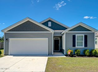 1717 Shallow Brook Run, Wilmington, NC 28411