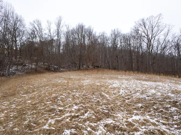 0 Little Sycamore Rd, Tazewell, TN 37879