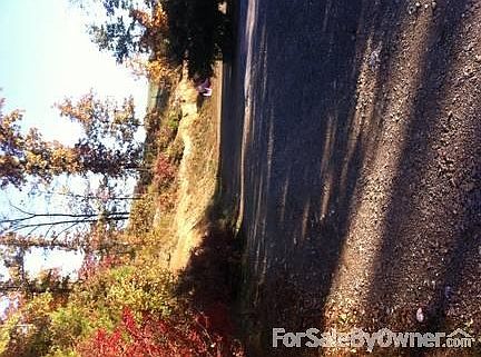 2nd image of 228 Buxton Loop