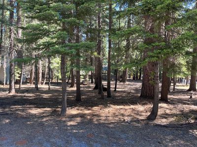 321 Racoon Trl, Chester, CA, 96020
