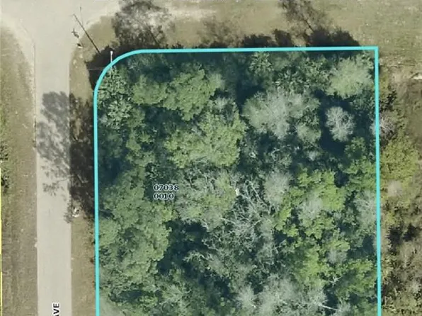 243/245 Greenbriar BLVD, LEHIGH ACRES, FL 33972