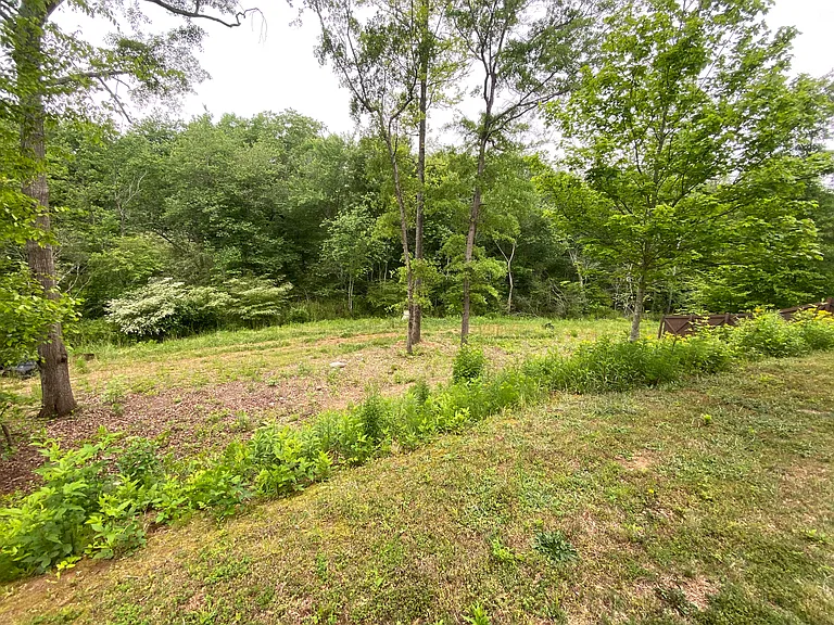 430 Auburn Station Dr — Photo 5