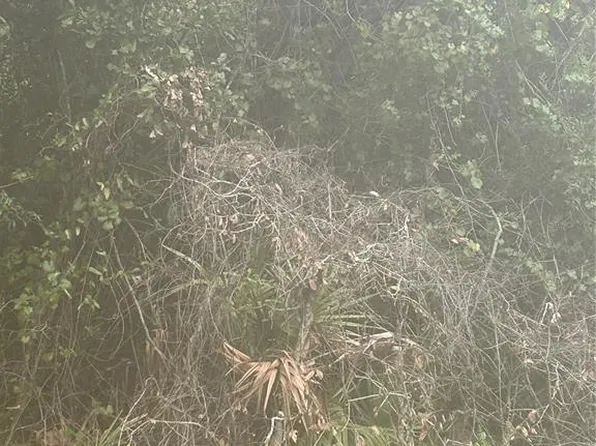 SE 105th Pl Lot 51, Ocklawaha, FL 32179