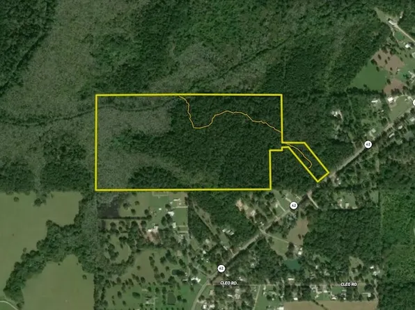 State Highway 42 Lot Wp001, Livingston, LA 70754