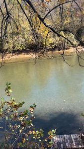 652 River Rd, Williamsville, MO, 63967