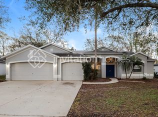 2927 Folklore Dr, Valrico, FL 33596