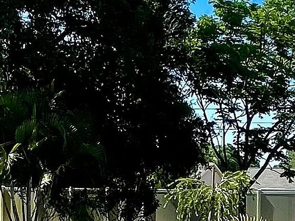 3rd image of 359 Penrose Cir
